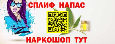 гашик Павлово
