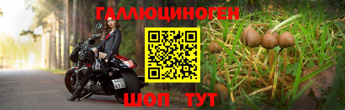 Псилоцибиновые грибы мицелий Гусев